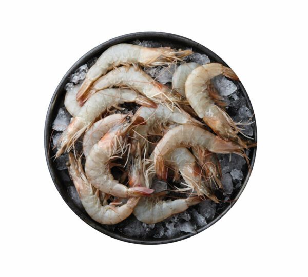 Premium Saudi Raw Prawn